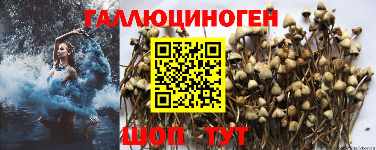 Псилоцибиновые грибы ЛСД Курчатов
