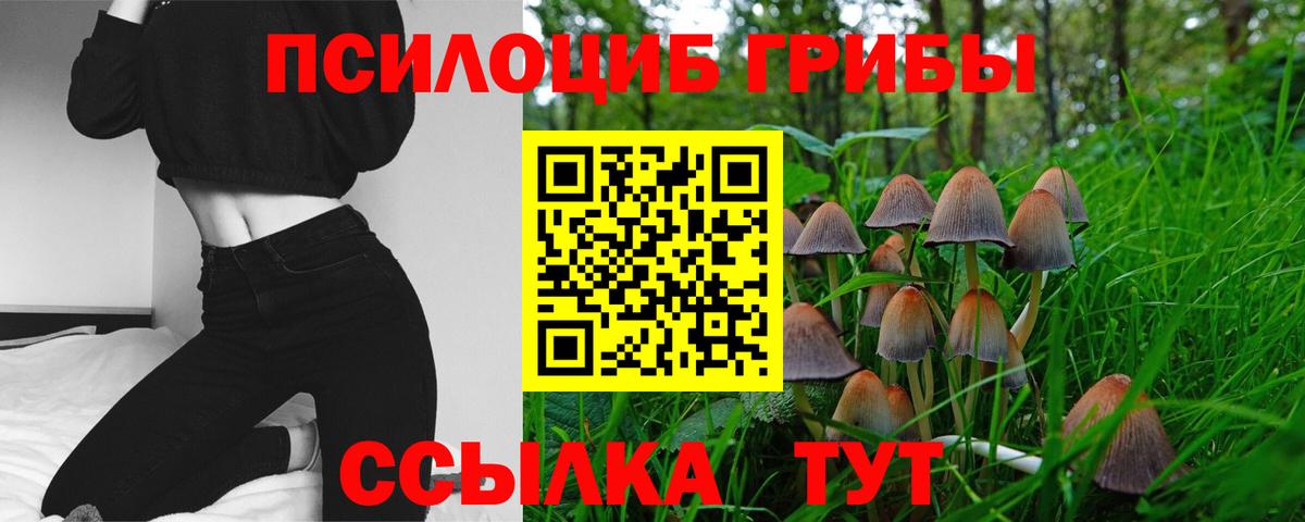 Галлюциногенные грибы MAGIC MUSHROOMS  Вход с VPN  Курчатов 